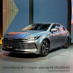 Carro Hibrido BYD King